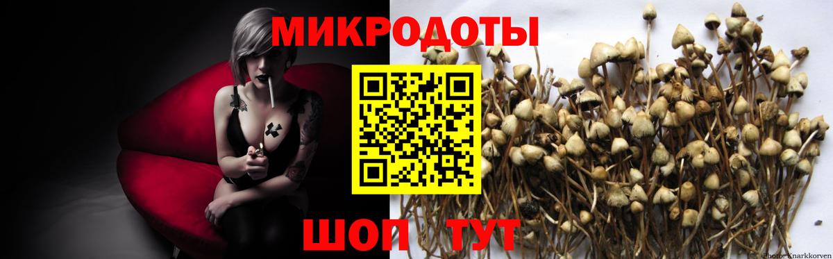 Псилоцибиновые грибы мицелий  Галлюциногенные грибы Psilocybe  Магнитогорск  Вход с VPN 